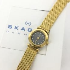 スカーゲン/L腕時計/H107XSGGM/日本限定カラー